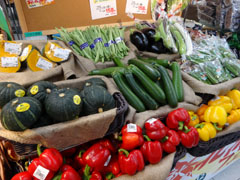 他にも北海道産野菜を販売
