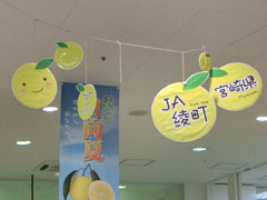 具志川メインシティ店 天井にはJA綾町関連の中吊りを掲示