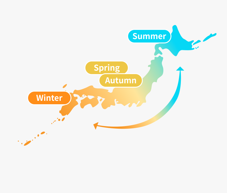 ▲ Production area relay in Japan