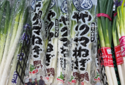 やクマねぎ