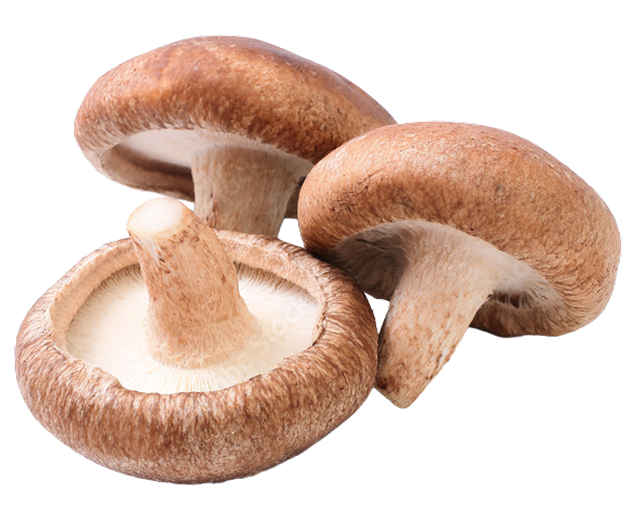 然(ぜん)<sup>®</sup>